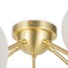 Потолочный светильник Maytoni Dallas MOD545CL-20BS