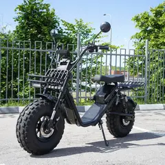 EcoMoto Lion Off-Road E1200W Back Edition