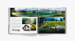 The Art of DreamWorks The Wild Robot (На Английском языке)