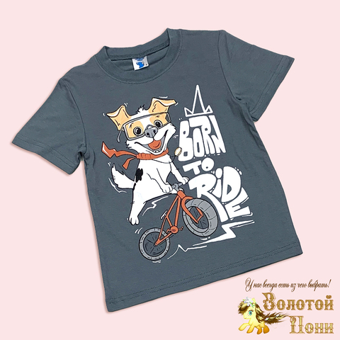 Футболка хлопок м (5-8) 251108-A1377