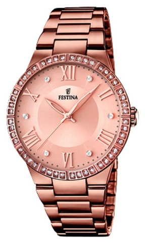 Наручные часы Festina F16801/1 фото