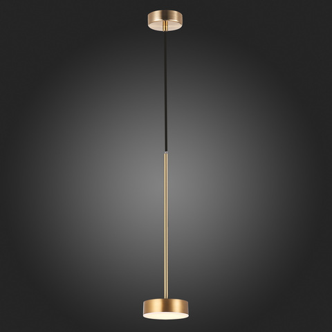 Светильник подвесной ST Luce Pances SL6000.303.01