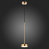 Светильник подвесной ST Luce Pances SL6000.303.01