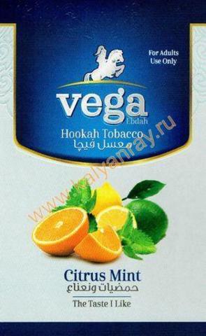 Vega Citrus Mint