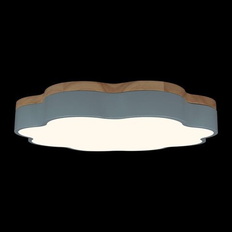 Потолочный светодиодный светильник Loft It Axel 10225/36 Blue