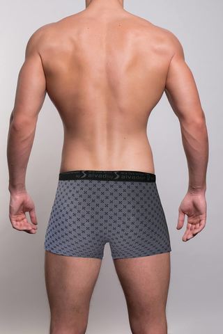 Мужские трусы 1001 Grey Salvador Dali