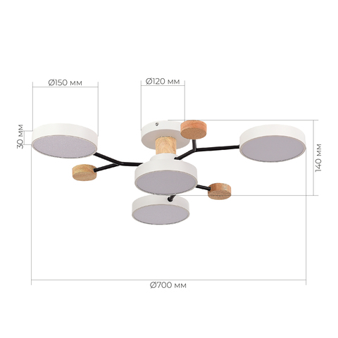 Светильник потолочный Evoluce Faema SLE6006-502-04