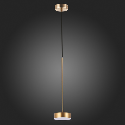 Светильник подвесной ST Luce Pances SL6000.303.01