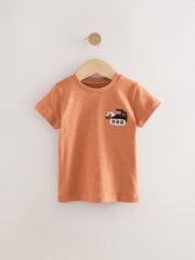 Футболка для мальчика Next AW8-873, Оранжевый