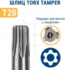 Бита отверточная ПРАКТИКА Профи Torx Tamper-20 х 50мм (2шт) (776-454)