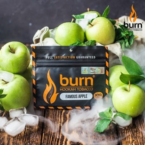Табак Burn Famous Apple (Зеленое яблоко с холодком) 100г