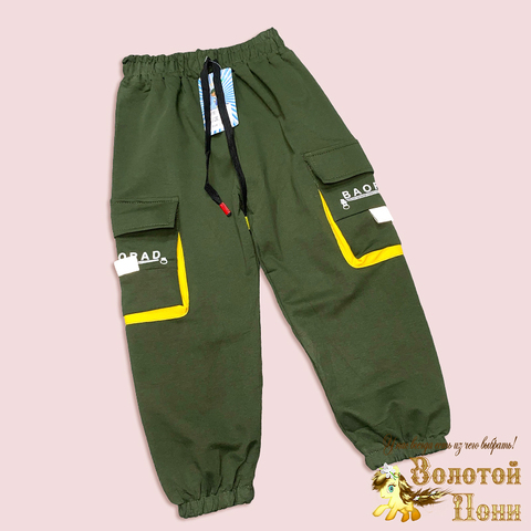 Брюки спортивные м (1-5) 250311-W2086