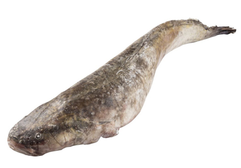 Налим Якутский замороженный~2кг