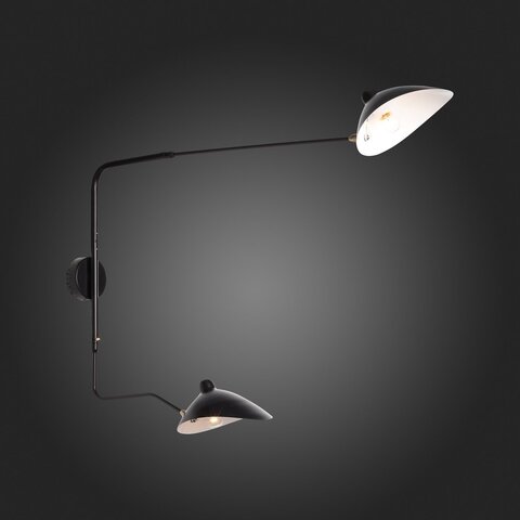 Светильник настенный ST Luce Spruzzo SL305.401.02