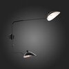 Светильник настенный ST Luce Spruzzo SL305.401.02
