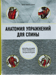 Анатомия упражнений для спины