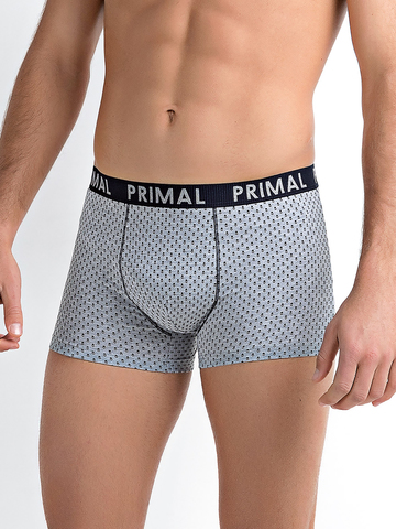 Мужские трусы B231 Boxer Primal