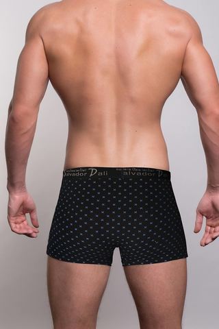 Мужские трусы 1002 Black Salvador Dali
