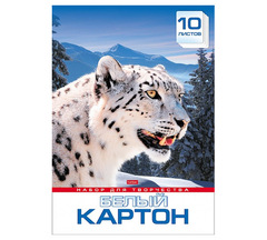 Набор картона белого А3 10л 