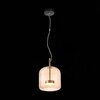 Светильник подвесной ST Luce Palochino SL1053.273.01
