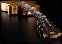 Гитара электроакустическая шестиструнная LAG TN-170ASCE