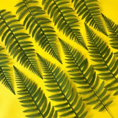 Папоротник, зелень искусственная, 56 см., набор 10 веток.