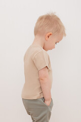 фуфайка  для мальчика  КР 302155/1/темно-бежевый