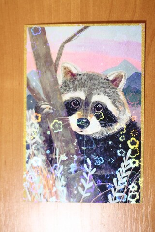 Енот в лесу