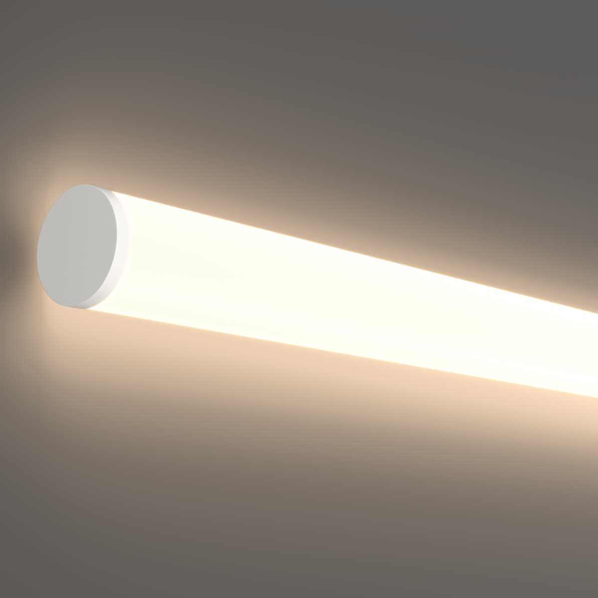 Гибкий неон Maytoni Led Strip 201147