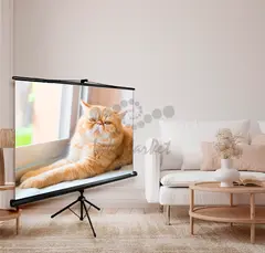 Экран Cactus 127x127см Triscreen CS-PST-127X127 1:1 напольный рулонный черный — фото 3
