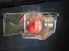 Хит Бернс. Школьная Ярмарка - ПОВРЕЖДЕНИЕ УПАКОВКИ