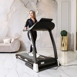 Беговая дорожка DFC SILUET FITNESS T5S фото №16