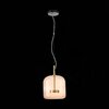 Светильник подвесной ST Luce Palochino SL1053.273.01