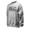 Толстовка Everlast  Authentic Grey