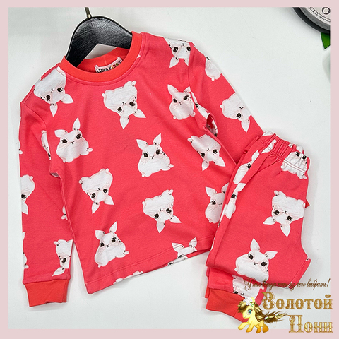 Пижама хлопок девочке (3-7) 250928-D7031