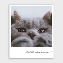 Фото-карточка 