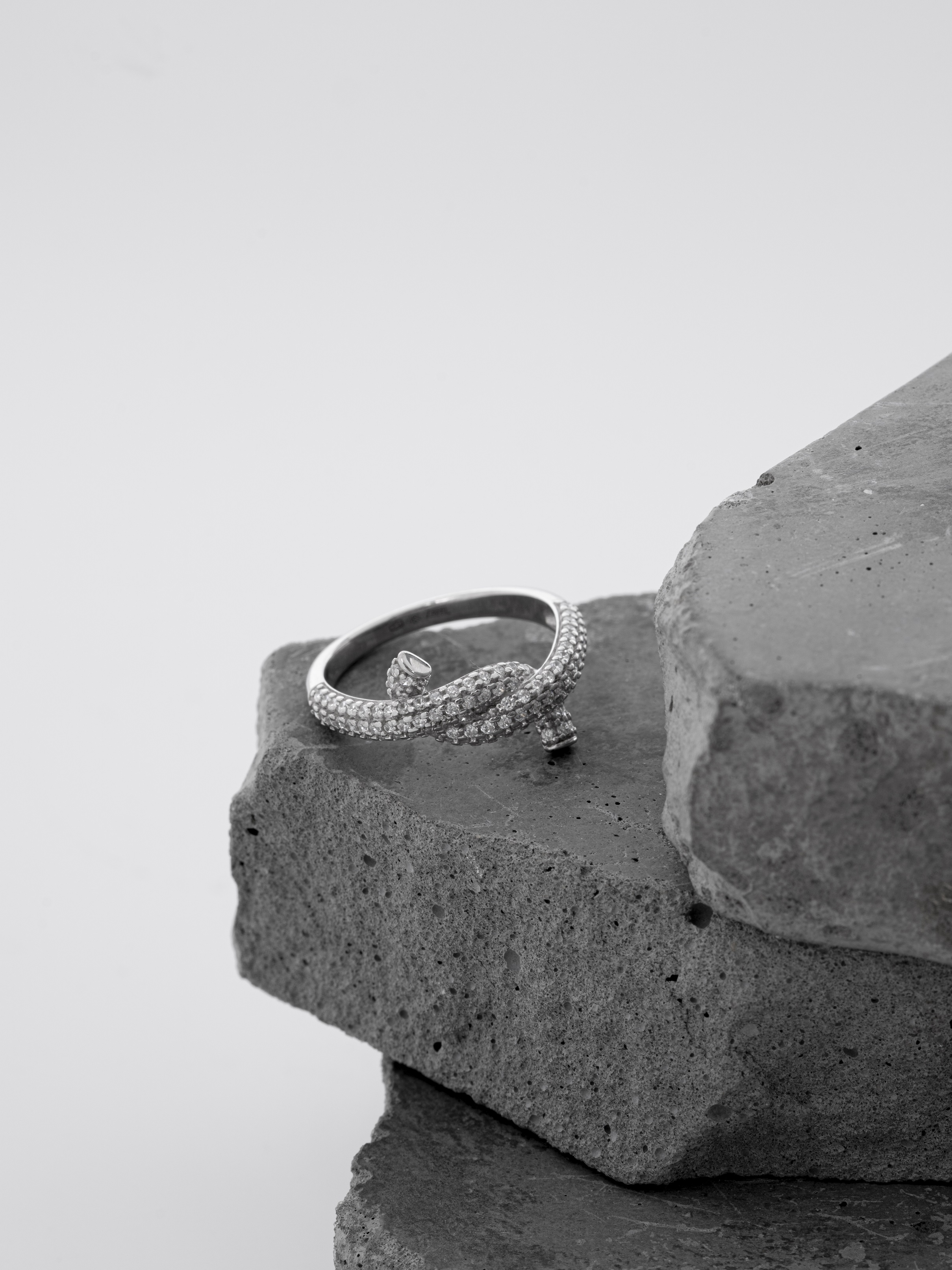 Кольцо Закрученный сюжет