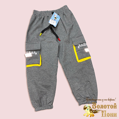 Брюки спортивные м (1-5) 250311-W2087