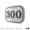 Номерок на дверь квартиры 300, для кабинета, офиса, шильдик 9 х 7 см, серебристый, Айдентика Технолоджи
