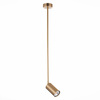 Светильник подвесной ST Luce Sormano SL1206.303.01