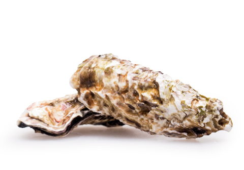 Устрицы Крымские, шт