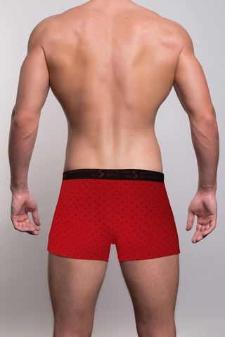 Мужские трусы 1002 Bordo Salvador Dali