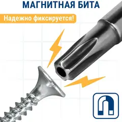 Бита отверточная ПРАКТИКА Профи Torx Tamper-20 х 50мм (2шт) (776-454)