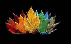 Силиконовый вайнер Лист Пиона № 6