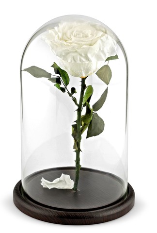Вечная роза в стеклянной колбе белая (Люкс)