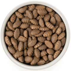 Grandorf Dog Large Breeds сухой корм для собак крупных пород (индейка) 3 кг