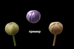 Силиконовый молд Бутон закрытый малый