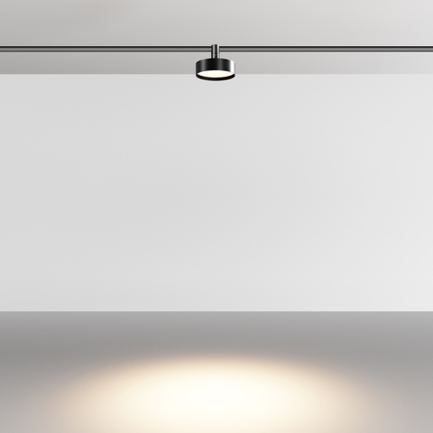 Магнитный трековый светильник Maytoni Zon TR204-1-12W3K-B