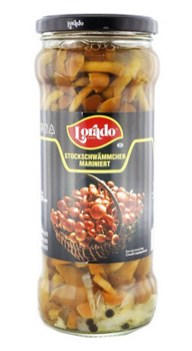 ОПЯТА2