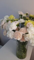 Гвоздика Carnation Peach Brut
